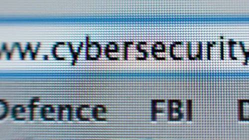 Credit: Wikimedia Commons/Harland Quarrington.