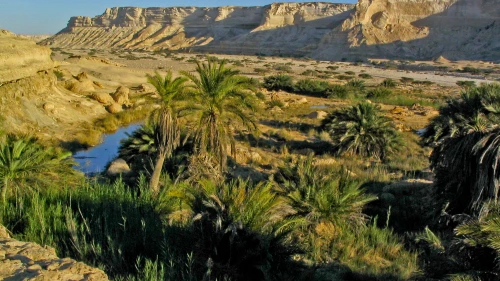 An Omani desert landscape. Credit: Wikimedia Commons via by Hendrik Dacquin.