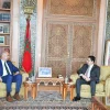 Knesset Speaker Amir Ohana (left) and Moroccan Foreign Minister Nasser Bourita meet in Rabat, June 8, 2023. Source: X.
