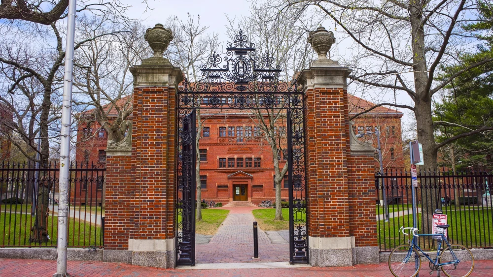 Harvard University