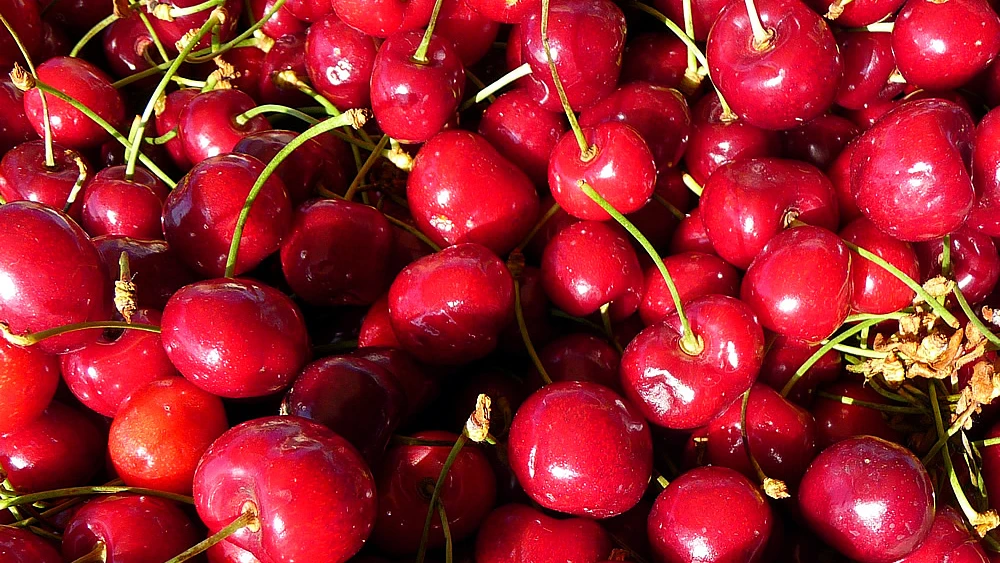 Cherries. Credit: Wikimedia Commons.