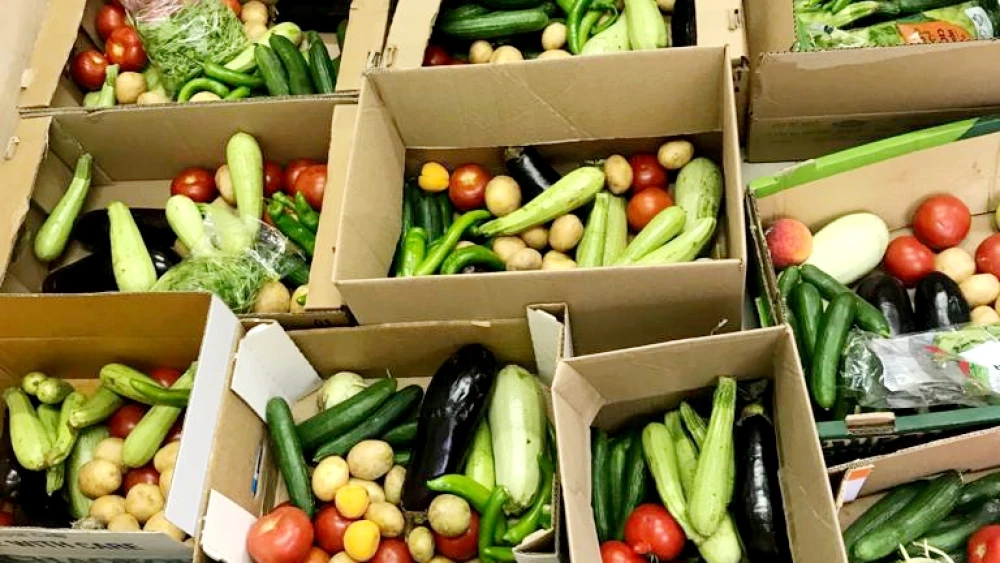 Produce not taken by residents will be given to a collective of women who prepare hot food and preserves to be sold. Credit: Courtesy.