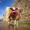 Santa Claus, Jerusalem