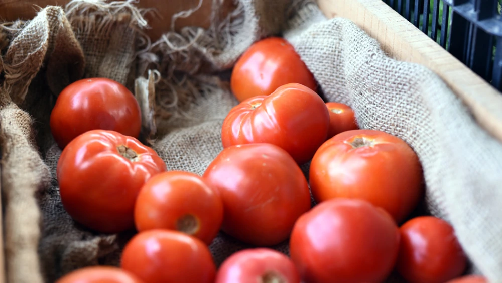 Farmer's market tomatoes. Credit: Wikimedia Commons/Karl Thomas Moore.