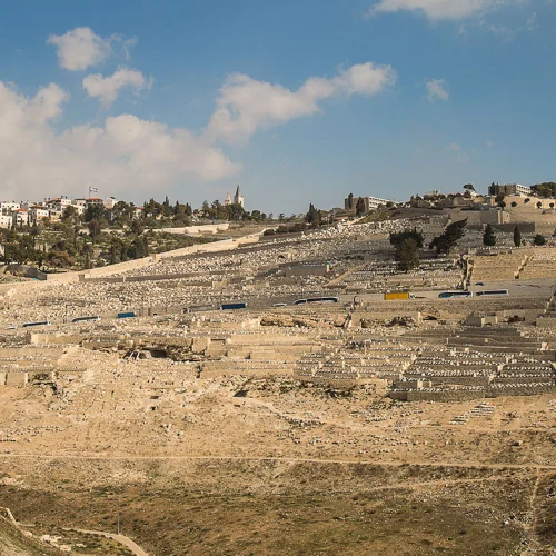 View of Har HaZeitim, Mount of Olives. Credit: International Committee for Har HaZeitim.