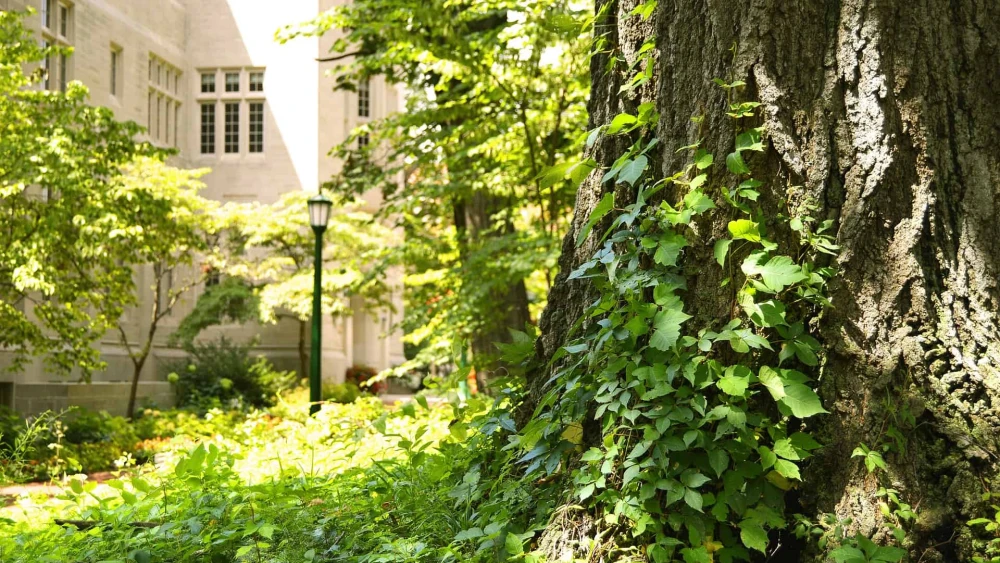 College, University Campus