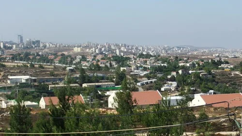 Zeev elkin