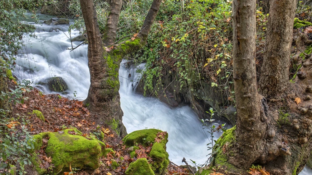 Banias waterfall in northern Israel near Mount Hermon. Photo by Noam Chen.