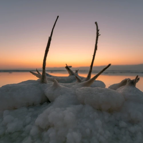 View of salt formations on the Dead Sea shore, July 7, 2020. Photo by Mila Aviv/Flash90.