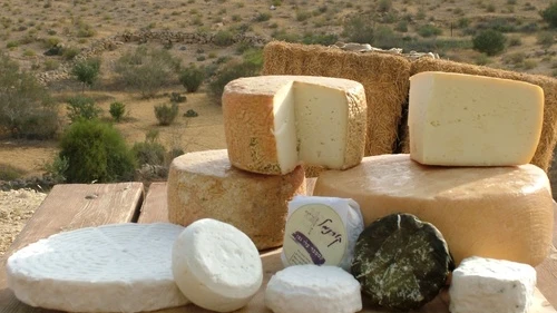 An assortment of cheeses pictured at the Kornmehl farm in the Negev. The Kornmehls consider themselves cheese artisans. They make specialty cheeses ranging from brie to camembert at their farm. Credit: Provided photo.