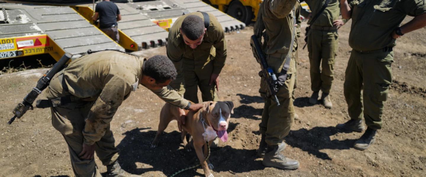 Fighters from the Golani Brigade's 13th Battalion take a breather after a week-long exercise in extreme weather conditions on the northern Golan Heights, July 21, 2022. Photo by Michael Giladi/Flash90.