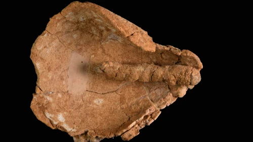 The oil lamp with a fabric wick is one of the oldest known in the world. Credit: Dafna Gazit, Israel Antiquities Authority.