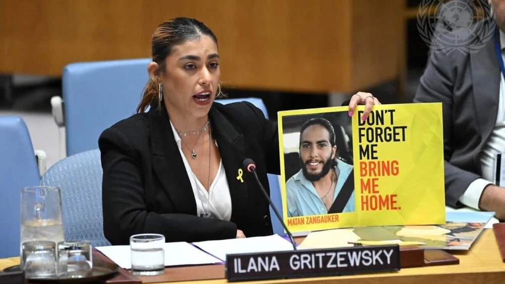 Ilana Gritzewsky, UNSC