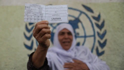 A Palestinian woman stands in front of UNRWA headquarters in Gaza City holding a refugee ration card during a protest demanding that the U.N. agency resume aid, April 8, 2013. Photo by Wissam Nassar/Flash90.