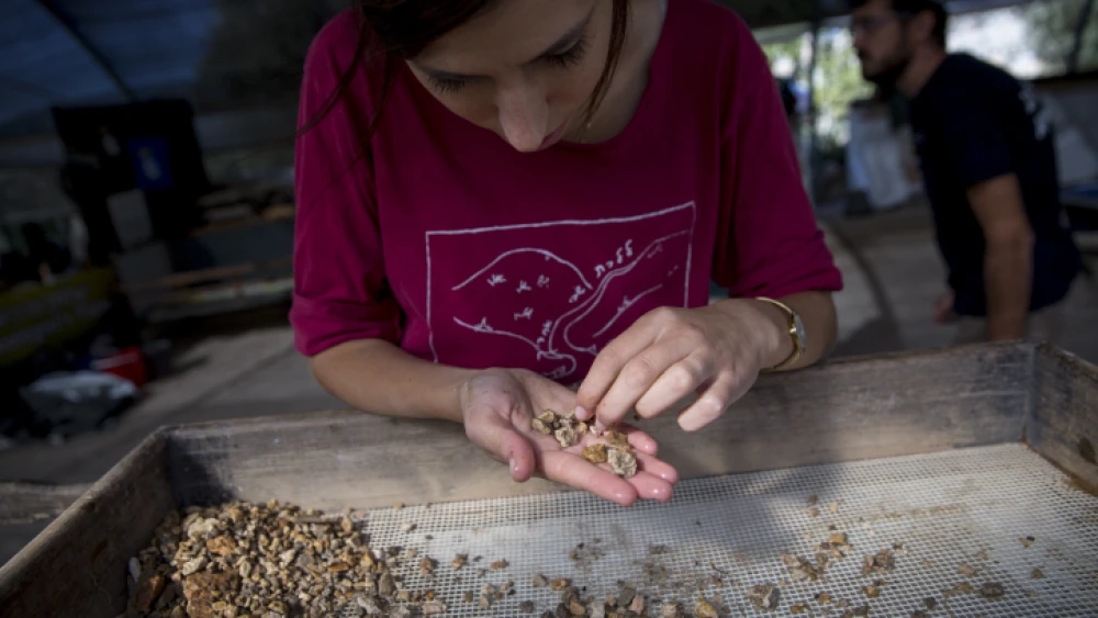 Workers at the archeological site, the Mount Antiquities Salvage Operation in Emek Tzurim, on the Mount of Olives near Jerusalem’s Old City, Oct. 6, 2016. Photo by Miriam Alster/Flash90.