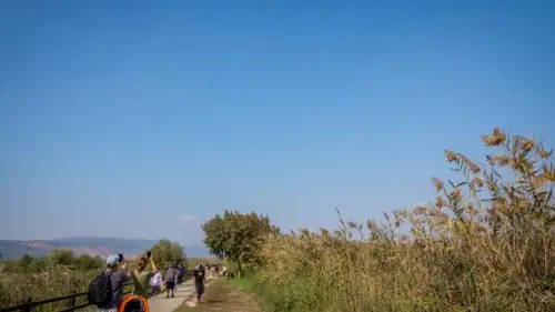 Israelis visit the Hula Valley lake in northern Israel on Nov. 12, 2022. Photo by Ayal Margolin/Flash90.