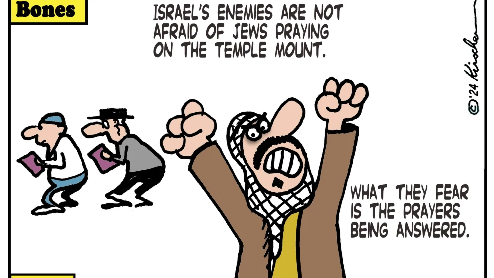 Credit: Yaakov (DryBones) Kirschen.