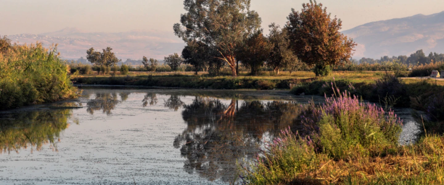 The Hula Valley lake in northern Israel, Oct. 22, 2021. Photo by Yossi Zamir/Flash90.