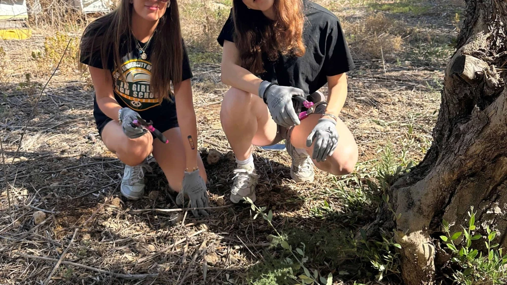 JNF-USA alternative summer