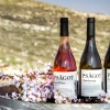 A display from Israel's Psagot Winery, which was at the center of a European court ruling on labeling of Israeli products from beyond the pre-1967 Green Line. Credit: Psagot Winery.