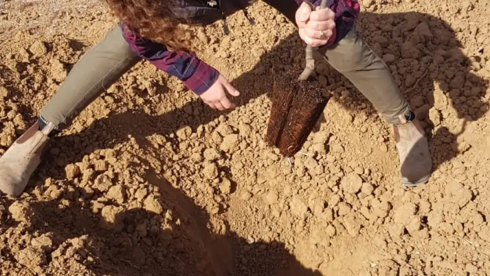 Maya Millet. Credit: KKL-JNF.