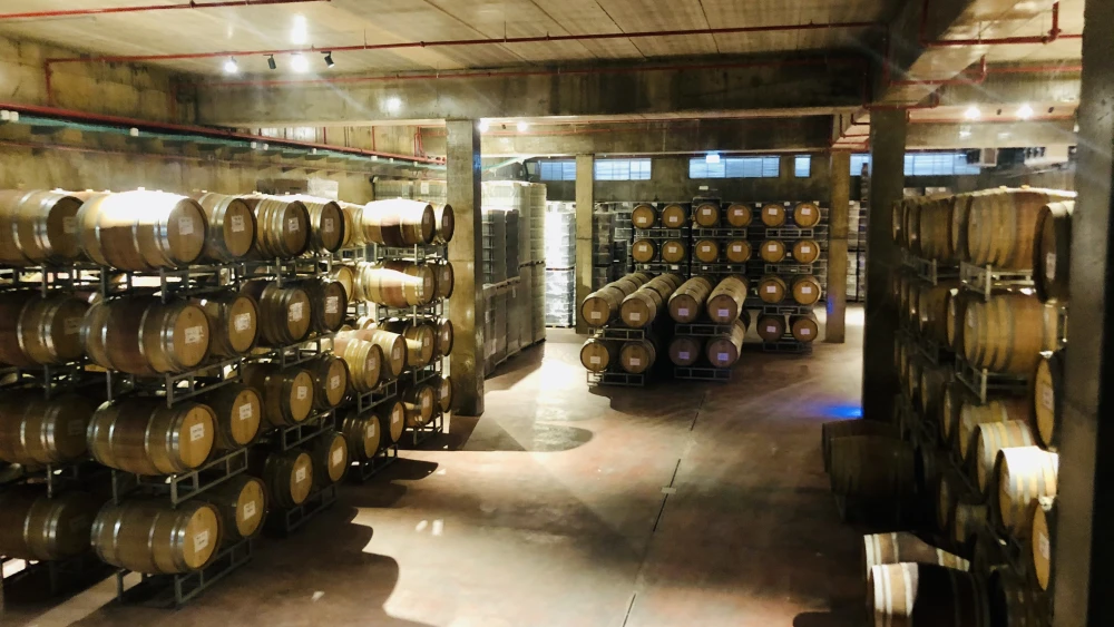 A view of the barrel room at Psagot Winery in the Binyamin region mountains of Judea and Samaria. Credit: Courtesy.