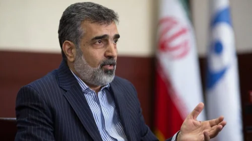 Atomic Energy Organization of Iran spokesman Behrouz Kamalvandi. Credit: Tehran Times.