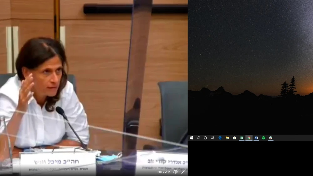 Member of Knesset from the Blue and White Party, Michal Cotler-Wunsh speaking at a Knesset hearing on social media. Source: Screenshot.