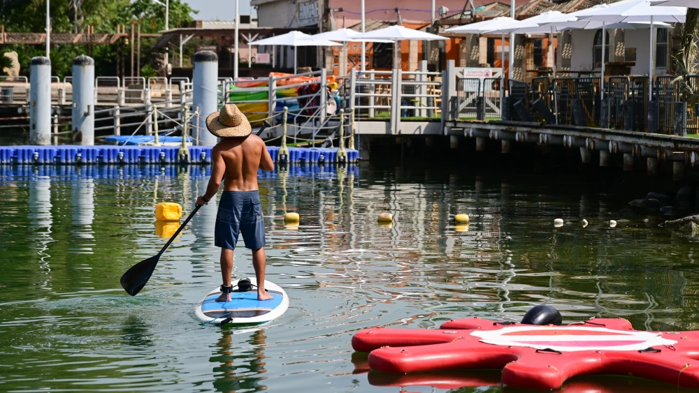 Stand up paddle board
