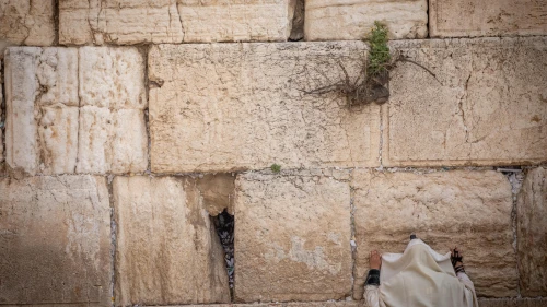 A man prays at the almost empty Western Wall, Judaism's holiest prayer site in the Old City of Jerusalem, March 27, 2020. Photo by Yonatan Sindel/Flash90