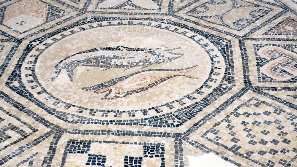 Megiddo Mosaic