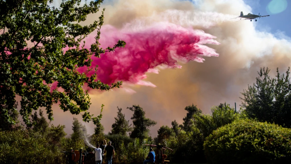 Israeli firefighters and citizens try to extinguish a fire in a forest near Beit Meir, outside of Jerusalem, on Aug. 15, 2021. Photo by Yonatan Sindel/Flash90.