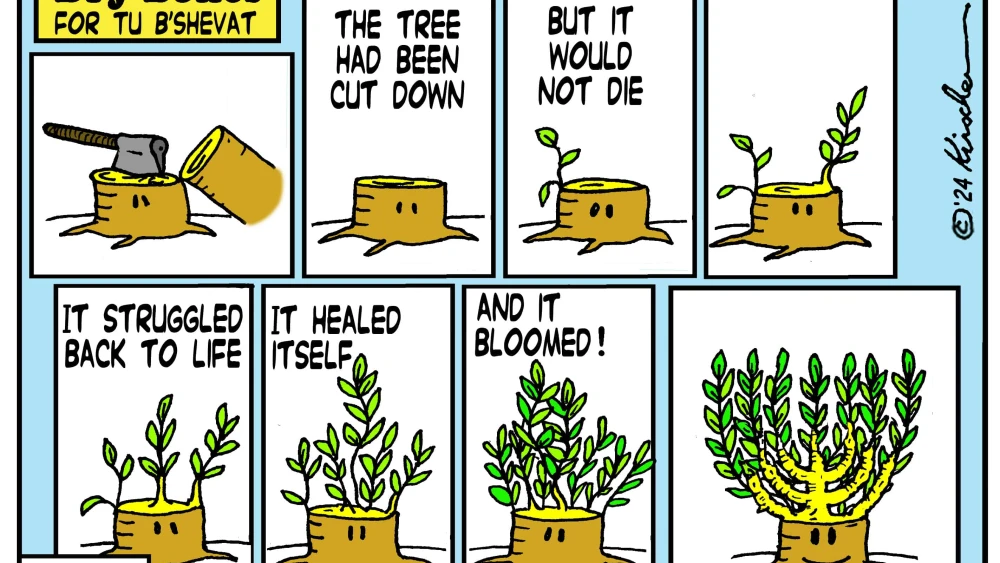 Credit: Yaakov (DryBones) Kirschen.