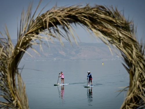 Stand up paddle board