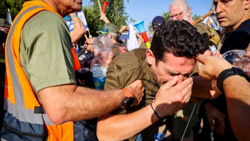 Judicial Reform Protests