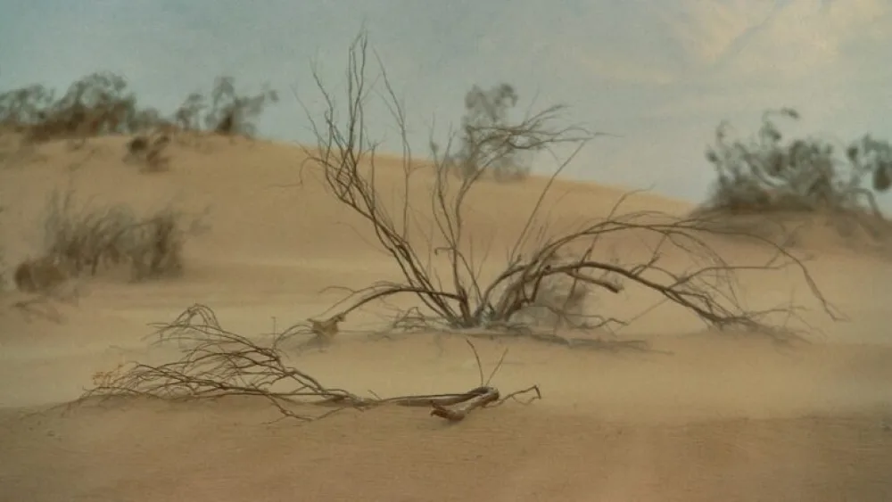 Sand dunes in the Arava Valley. Photo by Doron Horowitz/Flash90.