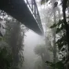 The Santa Elena Skywalk through the Costa Rican rainforest. Credit: Dirk van der Made.
