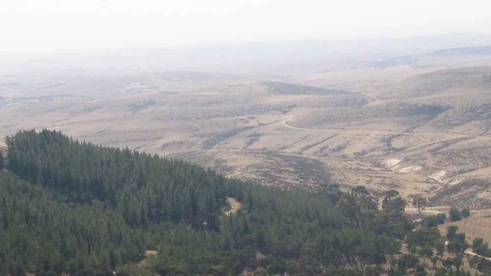 The Yatir Forest, which covers 7,413 acres, is named after the Levite city whose ruins are found within it, and was planted and developed thanks to contributions from friends of KKL-JNF worldwide. Credit: Wikimedia Commons.