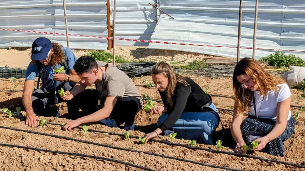 Alternative Break Students working the land of Israel (Photo Credit: Jewish National Fund-USA)
