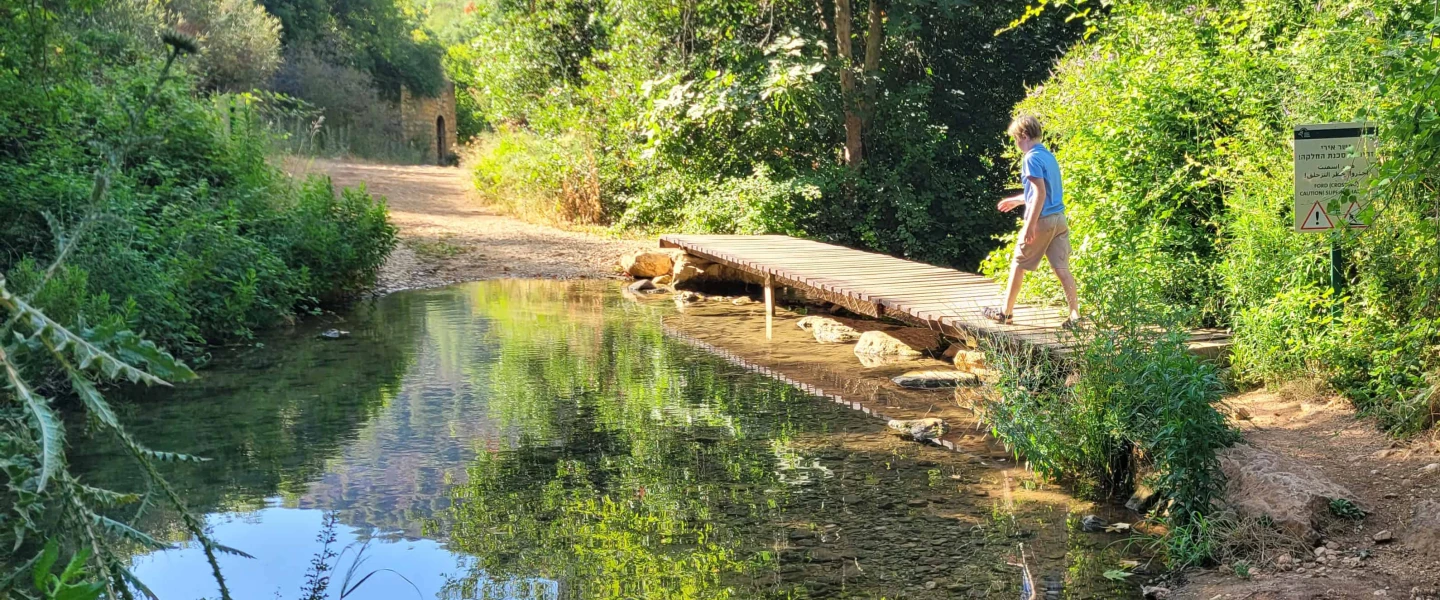 A boy explores the Ein Zin spring in the Upper Galilee on June 21, 2025. Photo by Canaan Lidor.