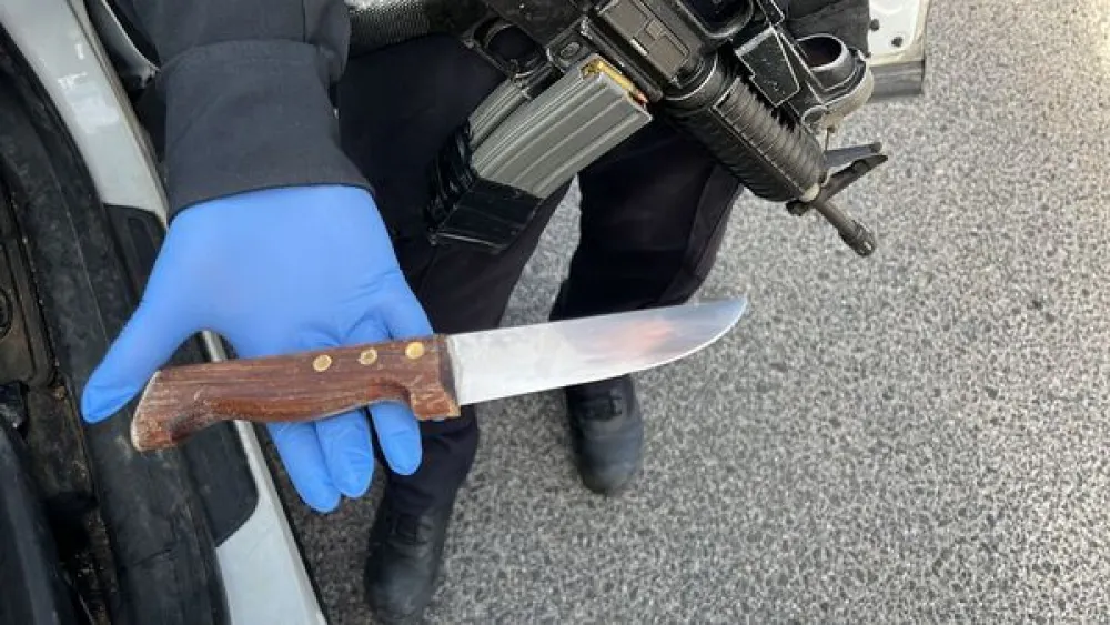 The knife used in an attempted stabbing near Ariel on Dec. 31, 2021. Source: IDF.