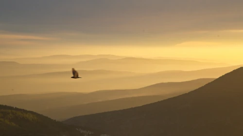 A view of the Upper Galilee as seen from the city of Tzfat, Feb. 4, 2018. Photo by Yaakov Lederman/Flash90.