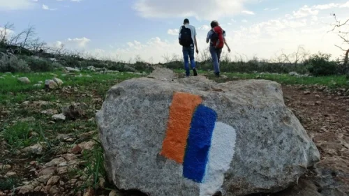 Hikers in the Carmel forest walk along the Israel National Trail. Credit: Dov Greenblat.