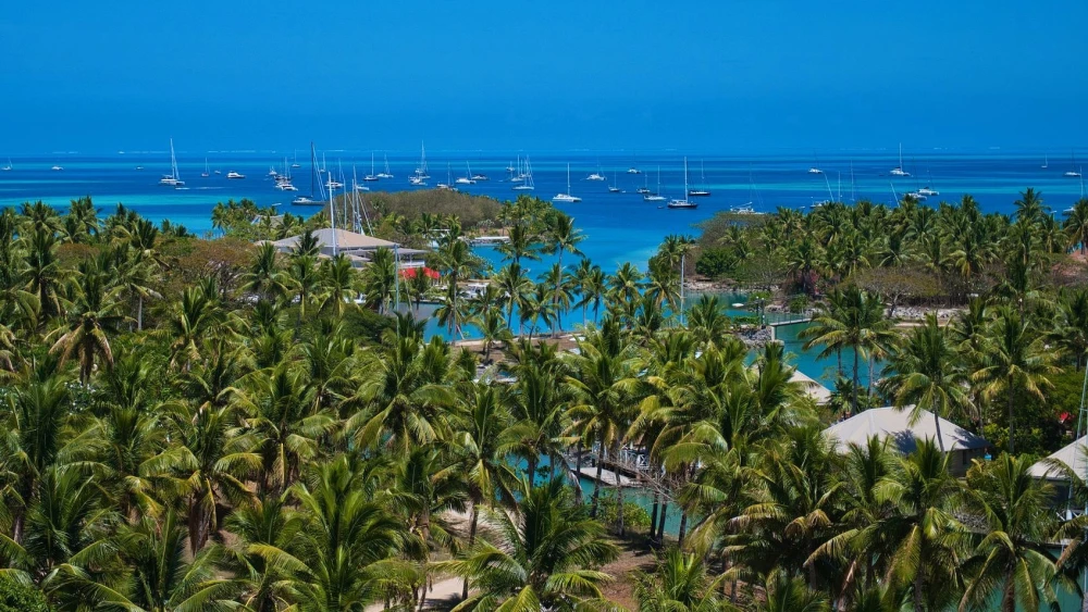 Fiji. Credit: Sébastien Vincon/Pexels.