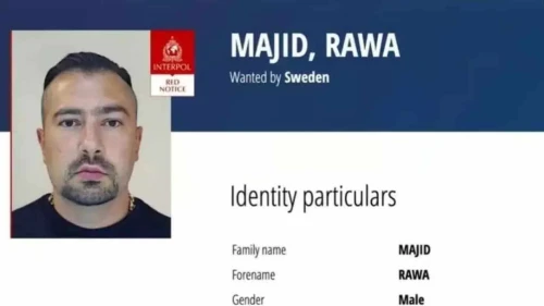 Rawa Majid, Foxtrot network commander. Source: Screenshot.