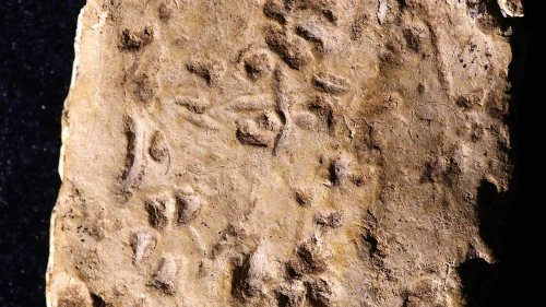 The curse tablet found on Mount Ebal. Photo by Jaroslav Valach.