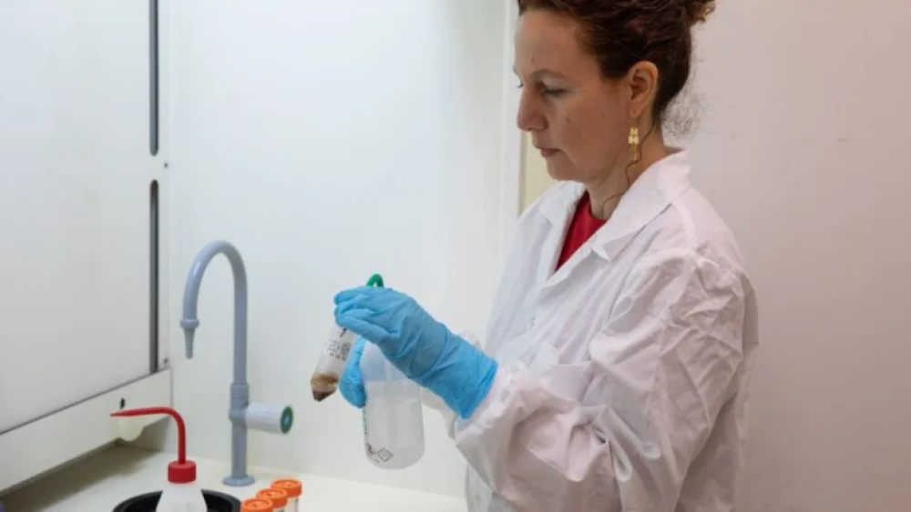 Dr. Dafna Langgut at the Laboratory of Archaeobotany and Ancient Environments. Photo by Sasha Flit/Tel Aviv University