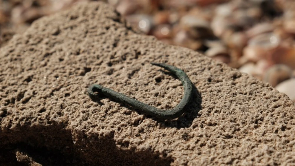 A 6,000-year-old copper fishhook. Credit: Emil Aladjem/Israel Antiquities Authority.