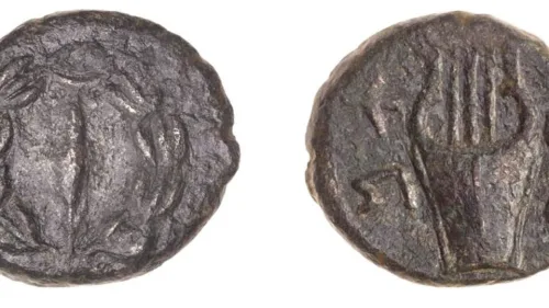 The 2,000-year-old coins that date back to the period of the Jewish revolts against the Romans, July 13, 2021. Credit: Tal Rogovsky.