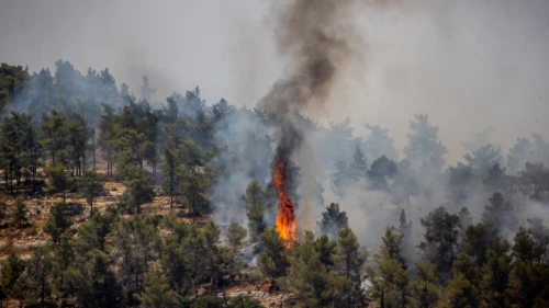A fire at Neve Ilan near Jerusalem, June 9, 2021. Photo by Yonatan Sindel/Flash90.
